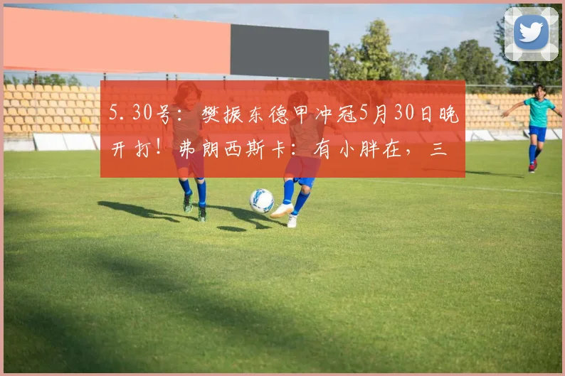 5.30号：樊振东德甲冲冠5月30日晚开打！弗朗西斯卡：有小胖在，三冠王就有戏！_萨尔布吕肯_比赛_云达不莱梅